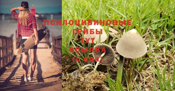 гашишное масло Кулебаки