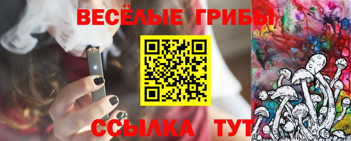 где купить наркотик  Псилоцибиновые грибы мухоморы  Вход с VPN  Обнинск 