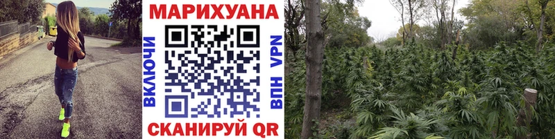 МАРИХУАНА сатива  Обнинск 